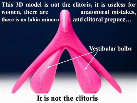 Clitoris: Anatomy, Location, Purpose & Conditions